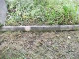 image of grave number 417008